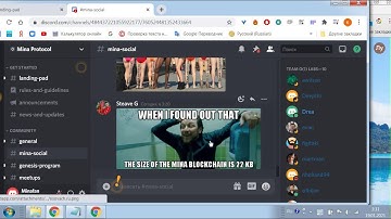 Mina Testworld Mini Vlog