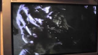 Top 10 best death scences: number 10-Dog soldiers