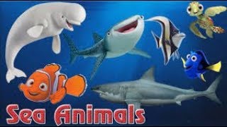 Learn Sea Animals ¦ Disney Pixar Finding Dory, Nemo Cartoon For Kids