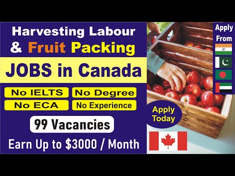 Harvesting Labour and Fruit Packing Jobs in CANADA 2022 Apply Without IELTS from India Pakistan