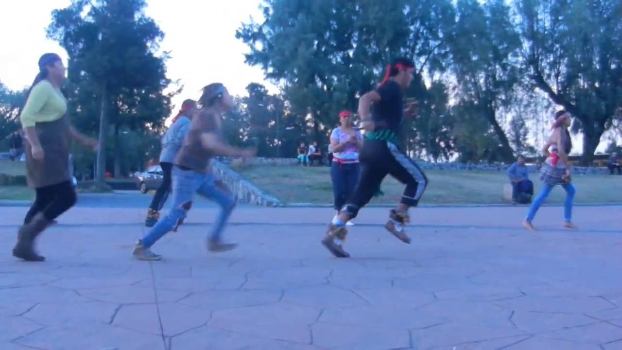 Danza Ce Mazatl, Calpulli Teyaotlani Izcalli