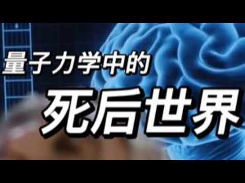 死后世界｜老高与小茉