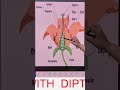 Complete Flower Anatomy in 60 Secs! 🌸 | NEET 2027 #shorts#viral