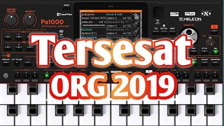 Adela - Tersesat ORG 2019 TERBARU