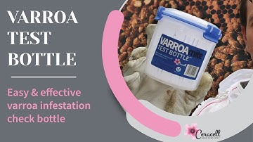 Varroa Mite Test Bottle - How To Demonstration
