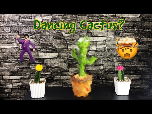 Special Dancing Cactus Unboxing and Full Review class=