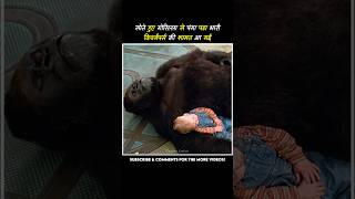 Messing with a sleeping gorilla went terribly wrong for the kidnappers | movie explain hindi #shorts