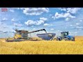 OAT HARVEST  New Holland CR8.90 Combines