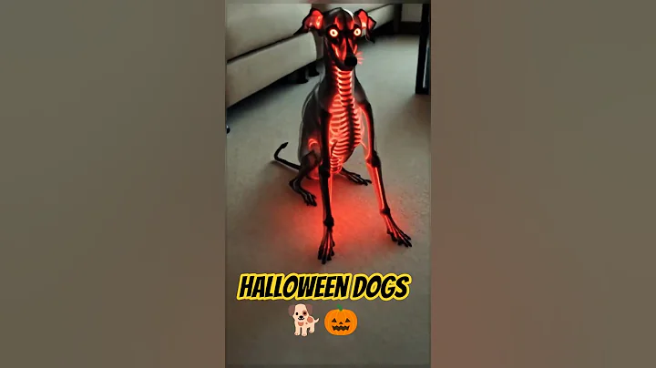 More Funny Halloween Dogs 🎃😂 | The Cutest Costumes Ever!