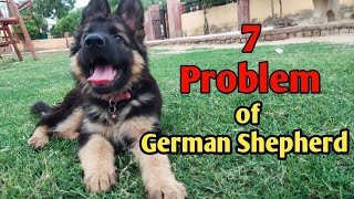 7 Problem Of German Shepherd In Hindi / German Shepherd problem#Gsd#dog