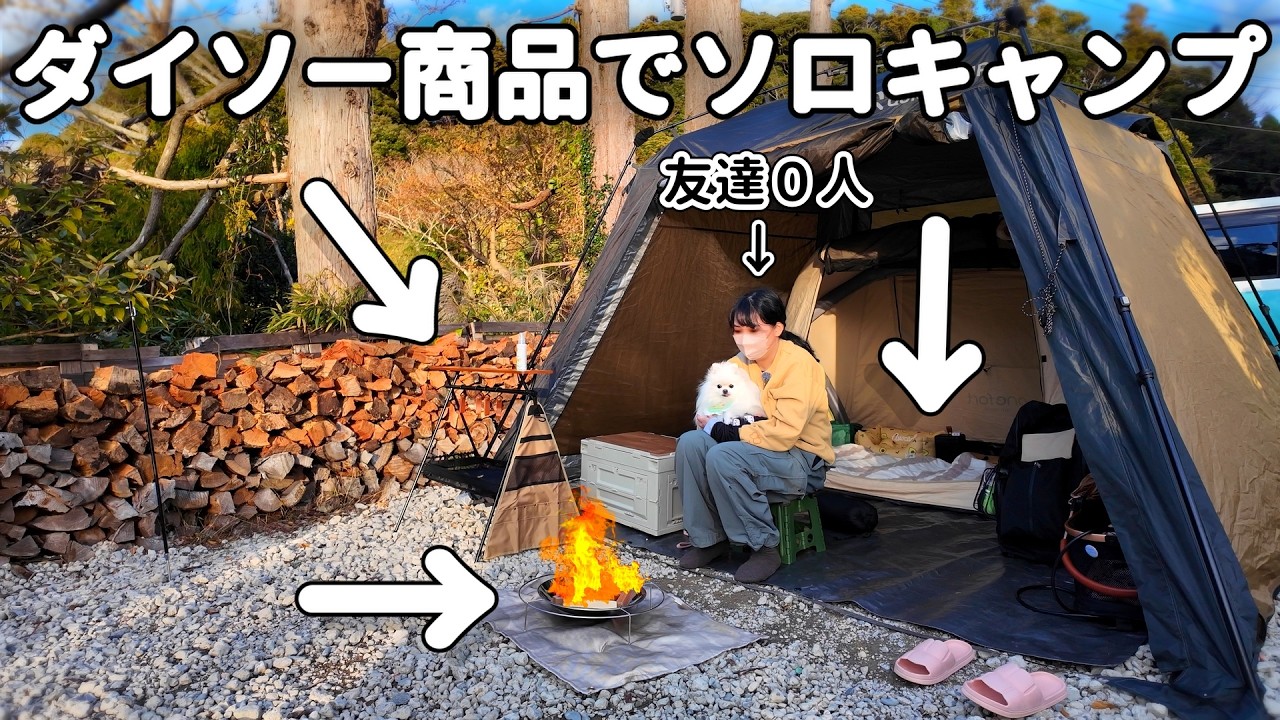 犬しか友達が居ないアラサー独身。ダイソーのキャンプ用品でソロキャンプしてみた