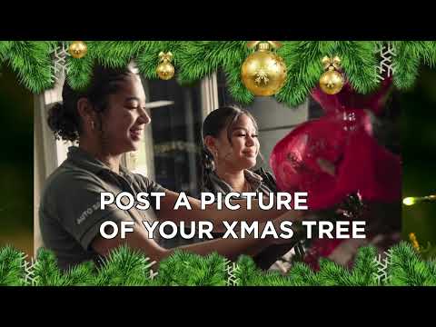 Christmas Tree Photo Contest 