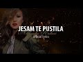 Aleksandra Radovic - Jesam te pustila (Official Lyrics Video)