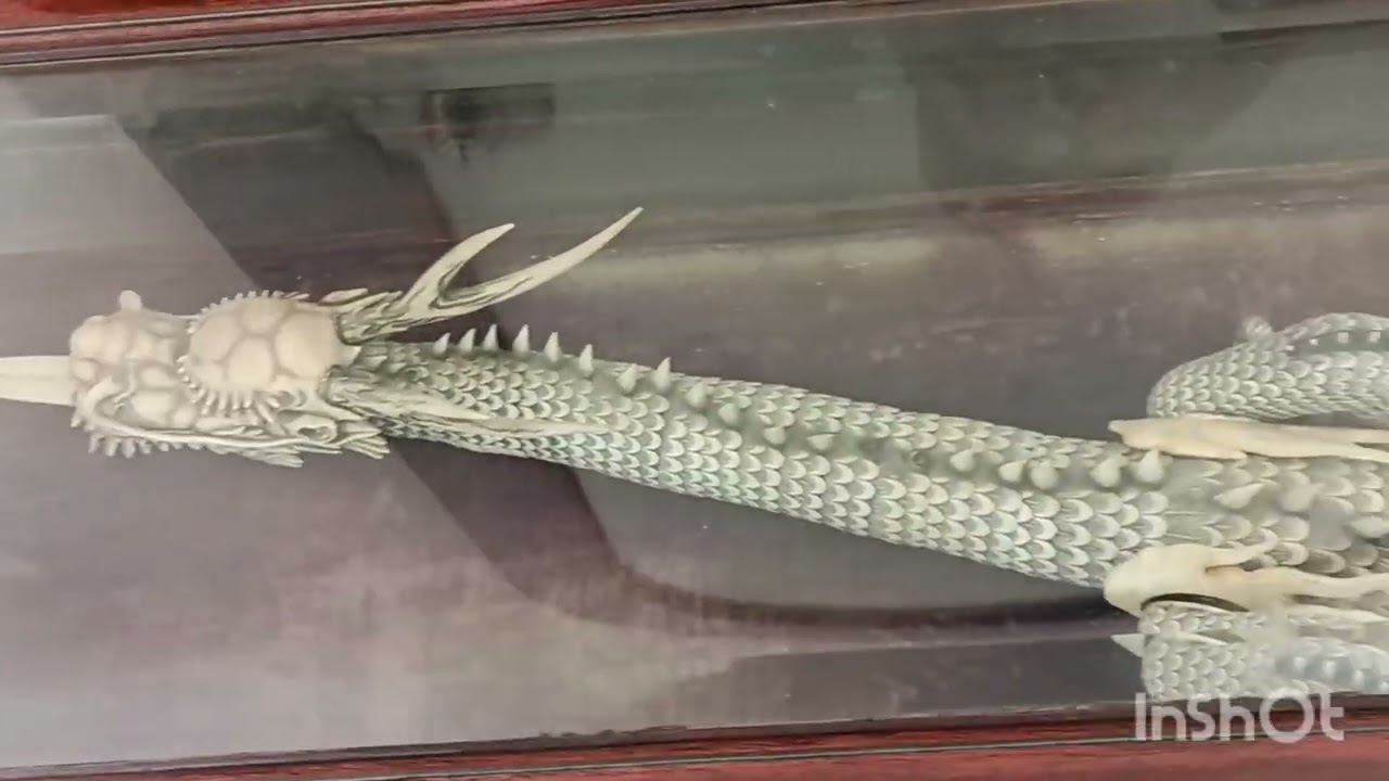 RNS WORLD SCHOOL jhansi  🏫 jhansi toGwalior picnic 🧺 