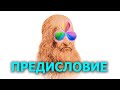 000. ПРЕДИСЛОВИЕ К КУРСУ [DaVinci с нуля]