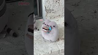 lol #pusheen #plush #plushies #kawaii #cute #cat #kitty #squish #squishy #squishmallows #funny