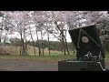 童謡 花かげ 伴久美子