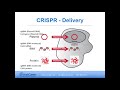 CRISPR IT YOUR WAY
