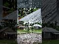 Hailstorm #StormDamage #VillageLife #NaturePow
