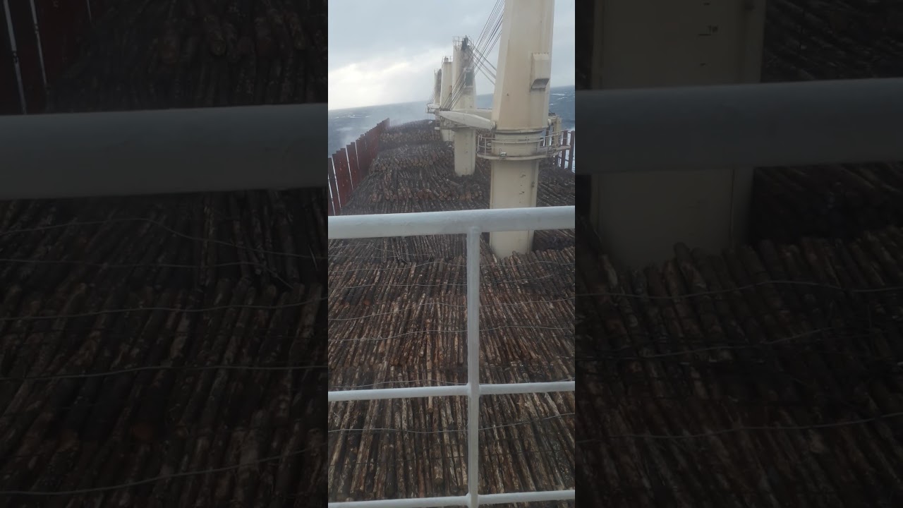 Timber carrier ship| Log bulk vessel | handymax sailing through indian ocean | Timber deck cargo|