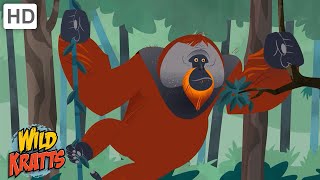 Primates | Orangutans, Monkeys, Tarsiers + more! [Full Episodes] Wild Kratts
