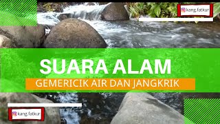 SUARA ALAM GEMERICIK AIR DAN JANGKRIK