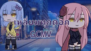 เหลี่ยมทุกดอก GCMV