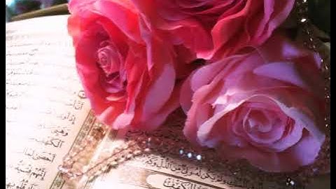 سورة الممتحنة بصوت القارئ الشيخ سعد الغامدي برواية حفص عن عاصم