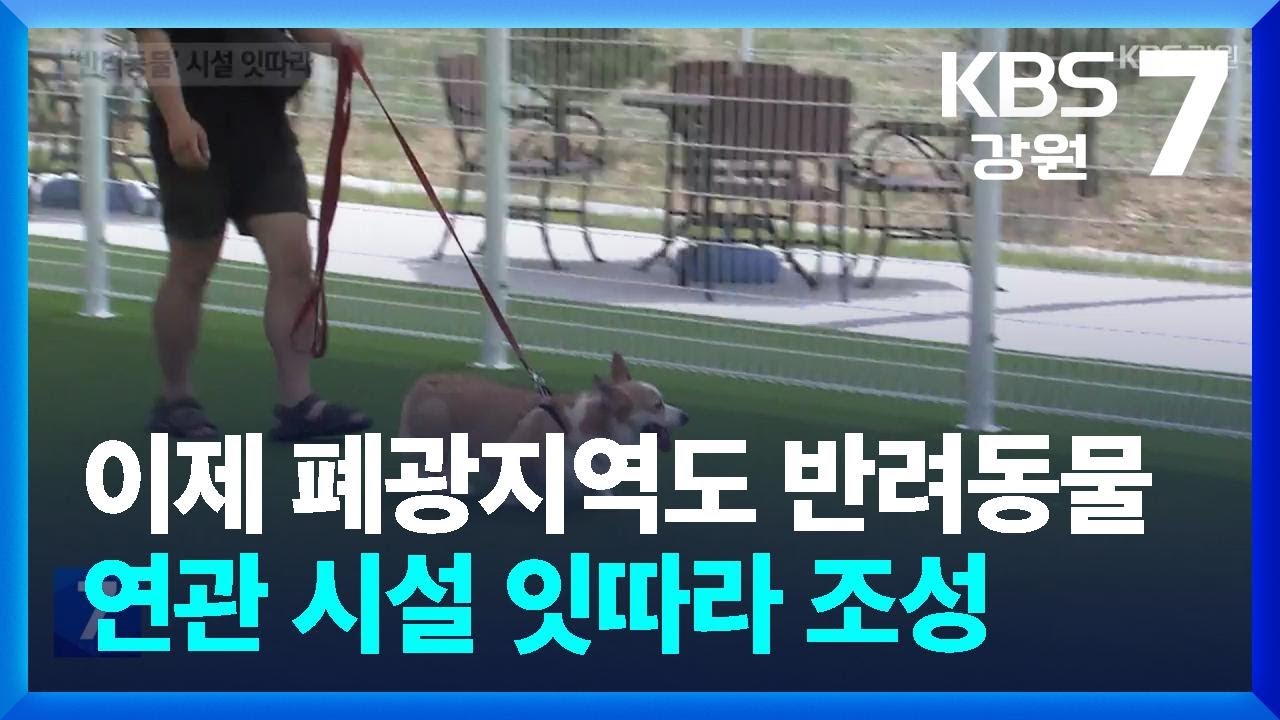 이제 폐광지역도 반려동물…연관 시설 잇따라 조성 / KBS  2026.03.09.