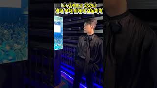 😍 블랙슈트 영탁, 팬 입장 지켜보는 따뜻한 눈빛에 심쿵💫