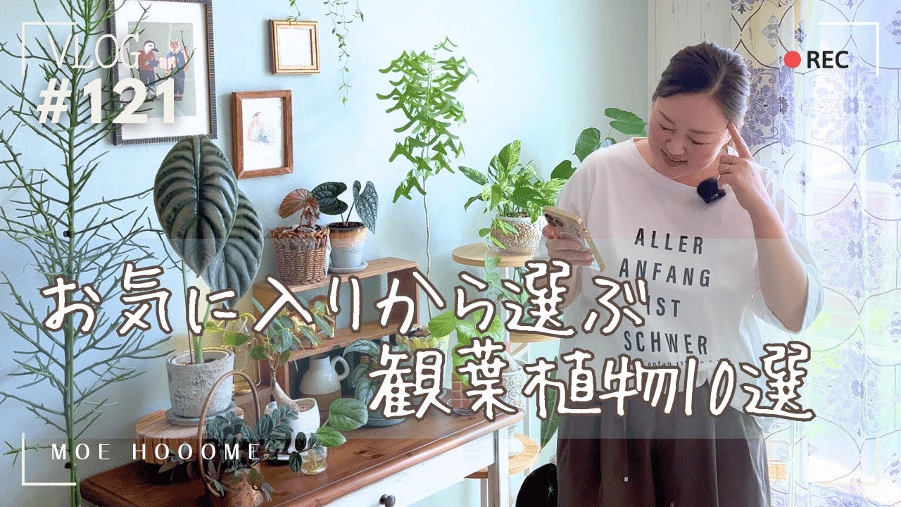 【2025年夏版】私のお気に入りから選ぶ！観葉植物10選（Vlog/121）