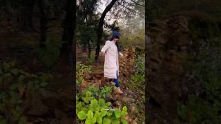 The secret spot💯 #ankvlogs #trending #ipl #shorts