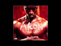 2) Akon - Trouble Nobody