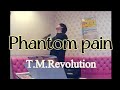 【字幕】Phantom pain / T.M.Revolution 歌ってみた