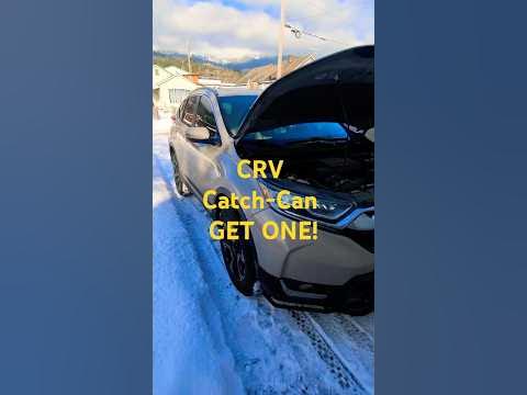 It uslubidagi fotosuratlardagi shirali eshaklar