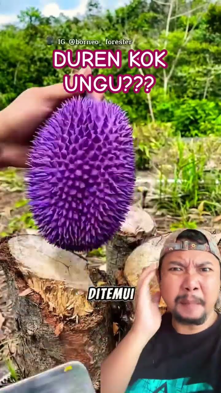 DUREN WARNA UNGU!!!? #fruit #durian #fruitcutting #funny #goodthing