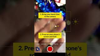 How to shoot a Christmas tree