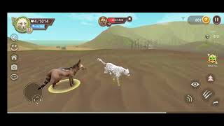 Killing the cunning jackal to earn clan points in wildcraft