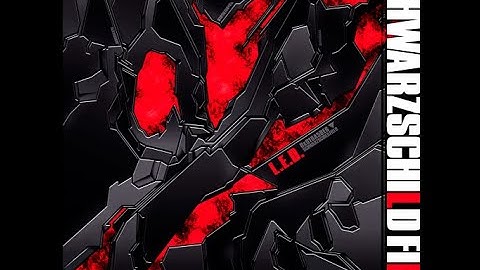 【Reverse】SCHWARZSCHILD FIELD(ESP)