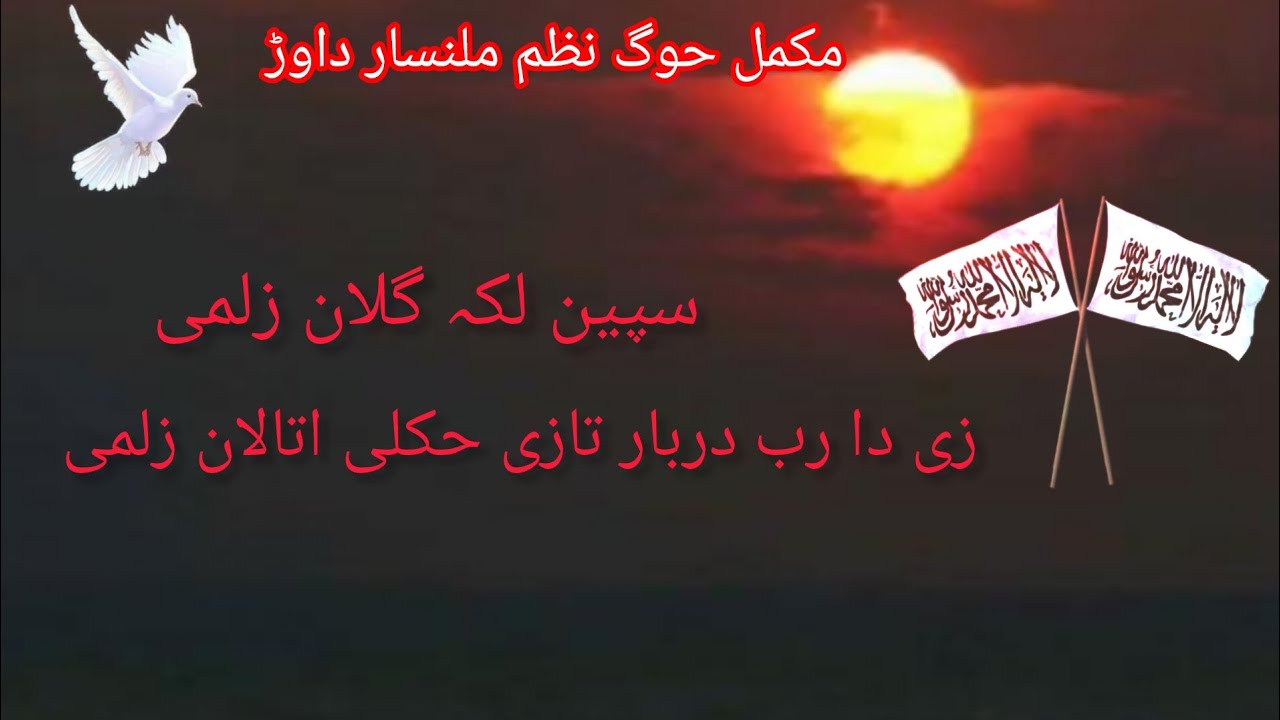 سپین لکہ گلان زلمی زی دا حدایئ دربار تازی حکلی اتالان زلمی//نوے نظم//ملنسار داوڑ//چینل سبسکرائب کڑئ 