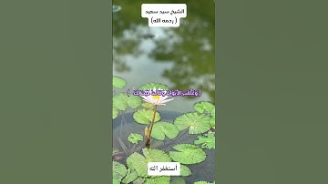 تلاوة مؤثرة من سورة يوسف بصوت الشيخ سيد سعيد تقشعر لها الأبدان#الشيخ_سيد_سعيد #سورة_يوسف #Quran