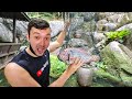 Catching A Fish - Then Eating It (Tilapia Fish) - Malaysian Food Vlog Kuala Lumpur