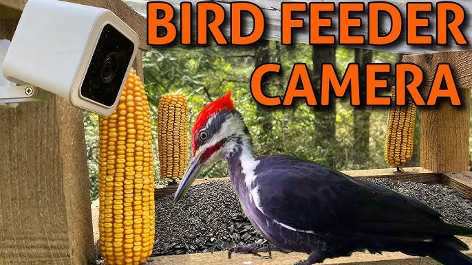 Wasserstein Bird Feeder Camera Case for Ring, Blink & Wyze Cams