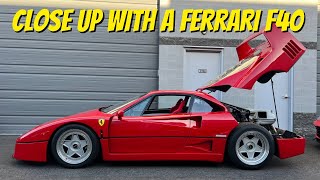 Close Up with a 1992 Ferrari F40