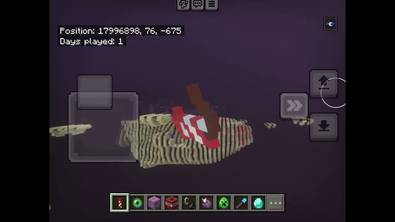 exploring the end dimension 