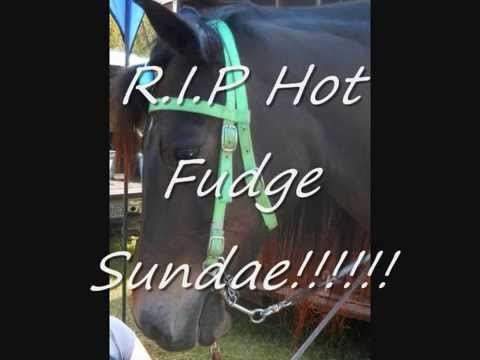 RIP Hot Fudge Sundae!! You will be missed!!!