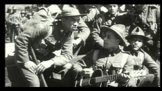 28th Māori Battalion Association to disband?