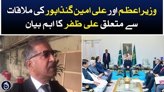 Ali zafar important statement regarding the meeting between Prime Minister and Ali Amin Gandapur