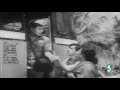 MGR Super Hit Scene | Thozhilali | Nagesh | S. N. Lakshimi Whatsapp Status Video Download Free