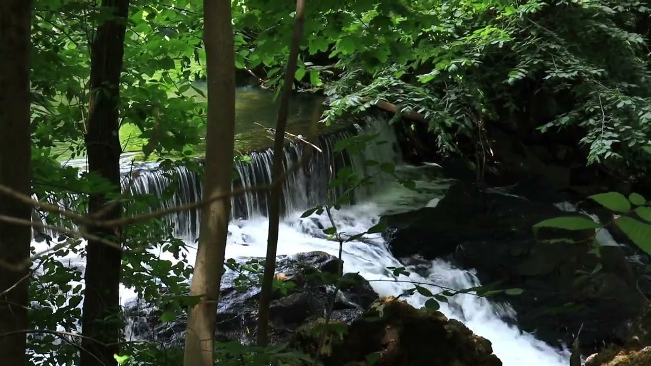 Beautiful Waterfall l Nature Videography | Short Film by Jac O' Burger